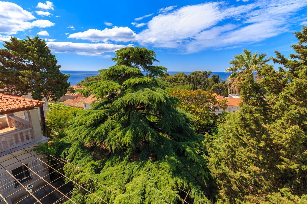 Hedera Estate, House Hedera V Villa Dubrovnik Kültér fotó