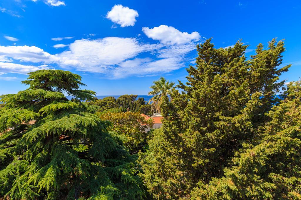 Hedera Estate, House Hedera V Villa Dubrovnik Kültér fotó