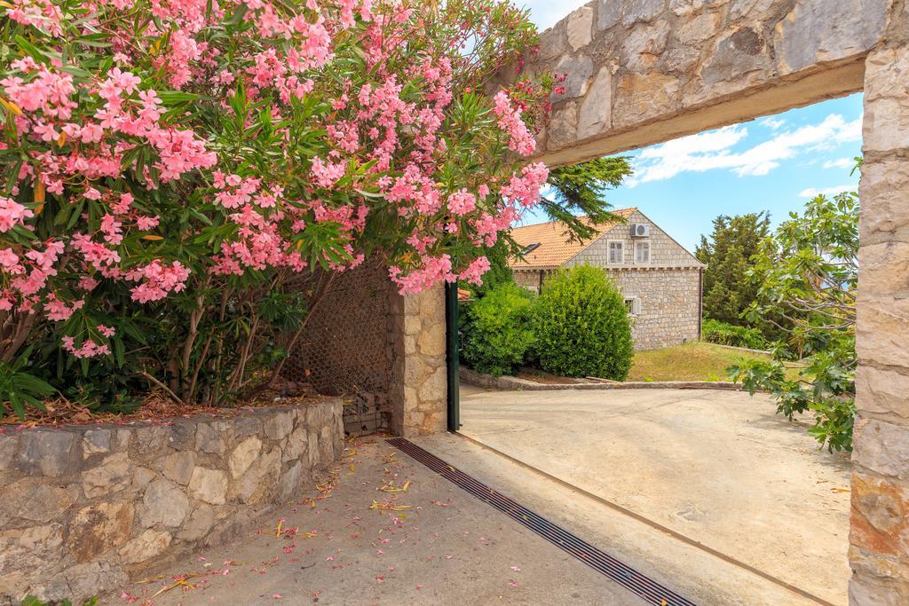 Hedera Estate, House Hedera V Villa Dubrovnik Kültér fotó